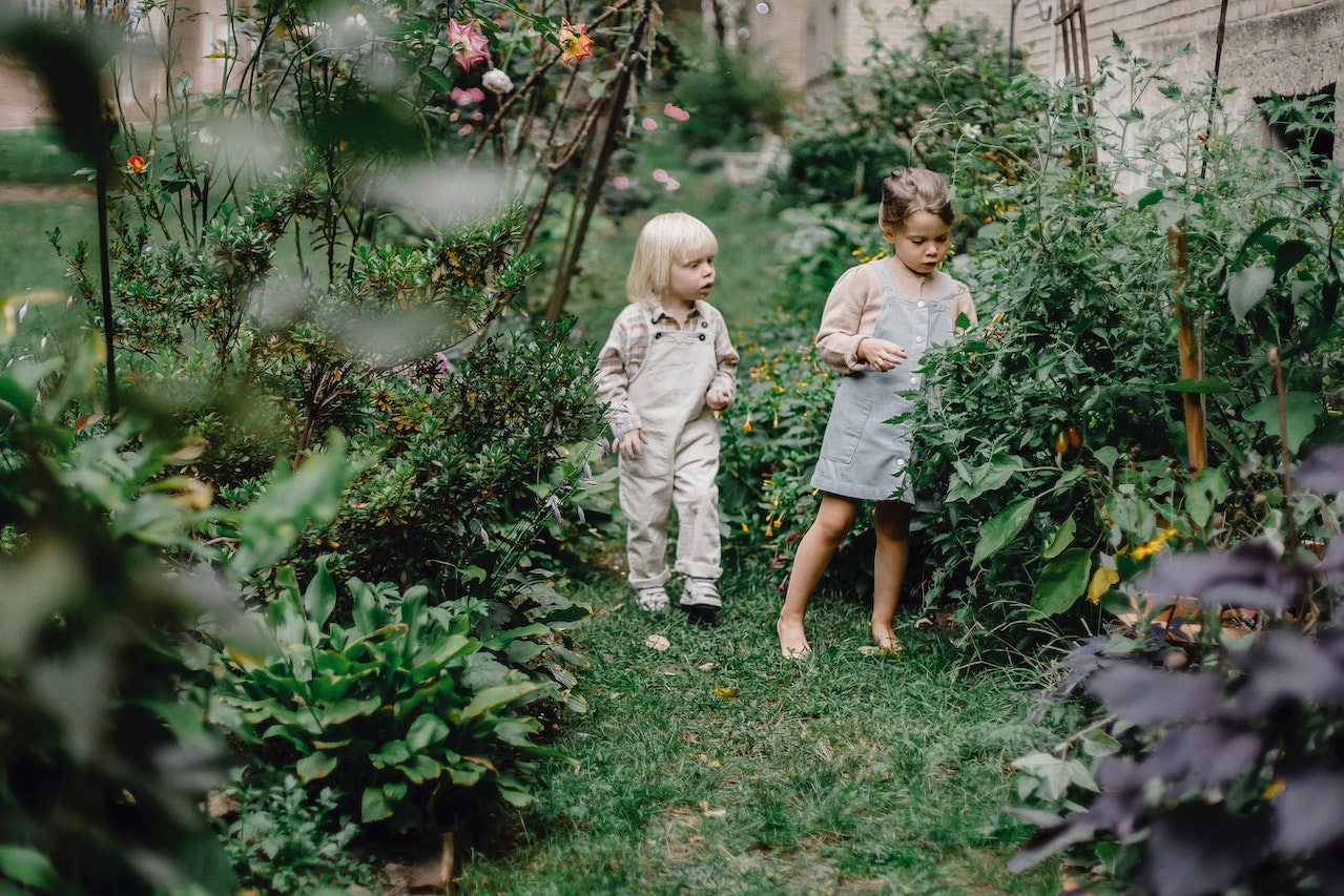 Le jardin de la Butte Bergeyre : projet citoyen pour la biodiversité