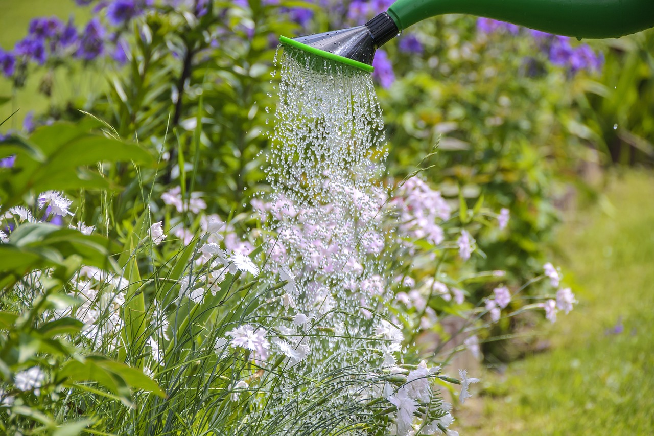 Arrosage goutte à goutte avec une bouteille : avantages, limites et conseils pratiques
