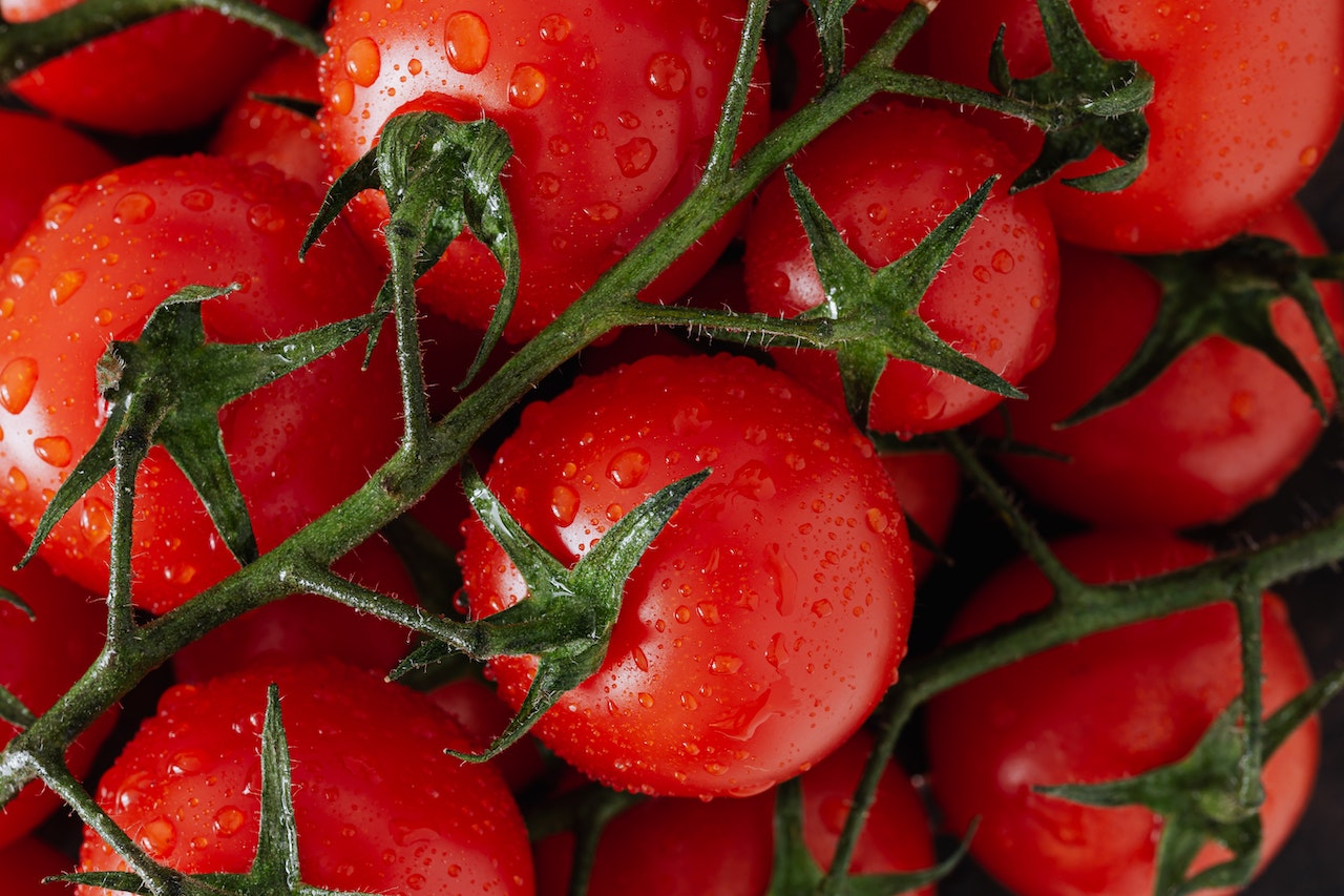 Les différentes variétés de tomates pour égayer votre potager